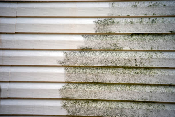 Best Stone Veneer Siding  in Beverly, NJ